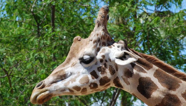 Entrée Terra Natura Murcia - Photo 2